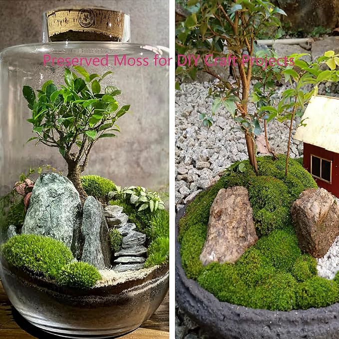 FAICOIA Preserved Moss Bulk Green Natural Preserved Pole Moss Pillow for Potted Plants 2.5 sq.ft Green Moss Balls for Bowls Wall Art Terrariums Crafts Fairy Gardens Easter Table Decor