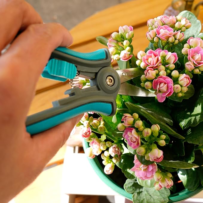 CYRUS 6" Pruning Snips - Precision Micro-Tip Garden Shears for Flower Cutting, Bonsai Trimming, and Indoor Plant Care, Stainless Steel Floral Scissors for Fresh Flowers, Stems, and Small Branches