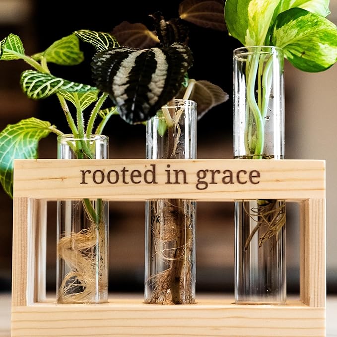 Rooted in Grace: Plant Propagation Stations: Plant Cutting Holder w/ 3 Glass Propagating Vases, Unique & Encouraging Christian Gifts for Women, Faith-Inspired Home Decor
