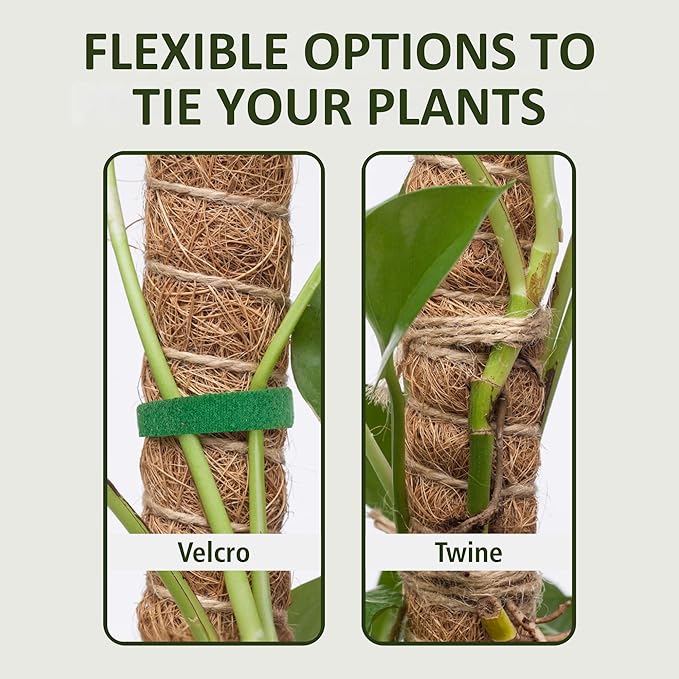 2 Pack 63 Inch Moss Pole for Plants, Tall Moss Poles for Climbing Plant-Monstera, Handmade Coco Coir Pole, Monstera Plant Support for Plant Grow