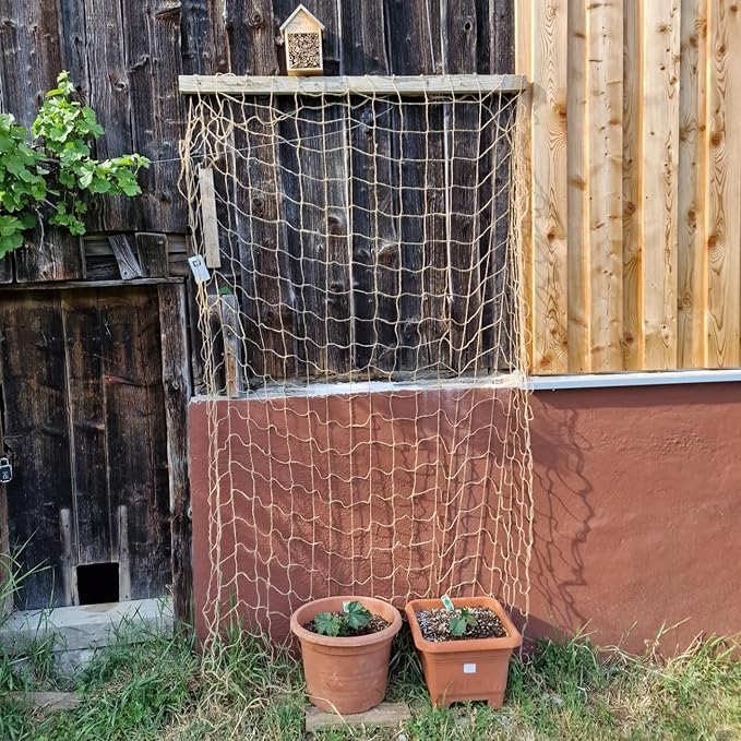 Jute Trellis Netting - Jute Netting for Garden, Heavy Duty Plant Support Netting for Climbing Plants, Cucumber, Vine, Fruits & Vegetables, Climbing Vining Plants (6.6 Ft x 32.8 Ft, 3.9 Inch Squares)