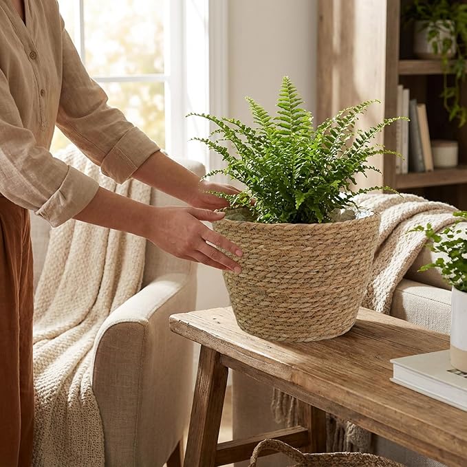 5 Pcs Large Premium Seagrass Planter Basket 10.2x7.5x7 Stylish Planter Baskets Woven Wicker Baskets with Plastic Lining for Indoor Outdoor Flower Plants Pots Cover Room Decor