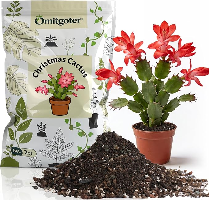 All-Natural Christmas Cactus Potting Soil Mix 2qt- Premium Well-Draining & Aerated ，Designed Specifically for Succulents and Cacti