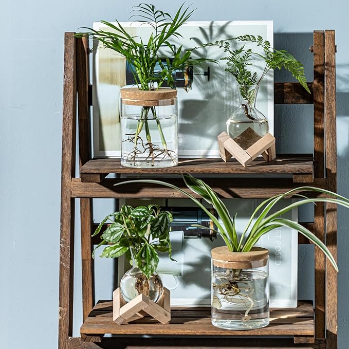 Plant Propagation Station, 2 Style Glass Planter Terrarium Set for Hydroponic Plants | Home Office Tabletop Decor, Gardening Gifts for Women, Mom, Plant Lovers (6)