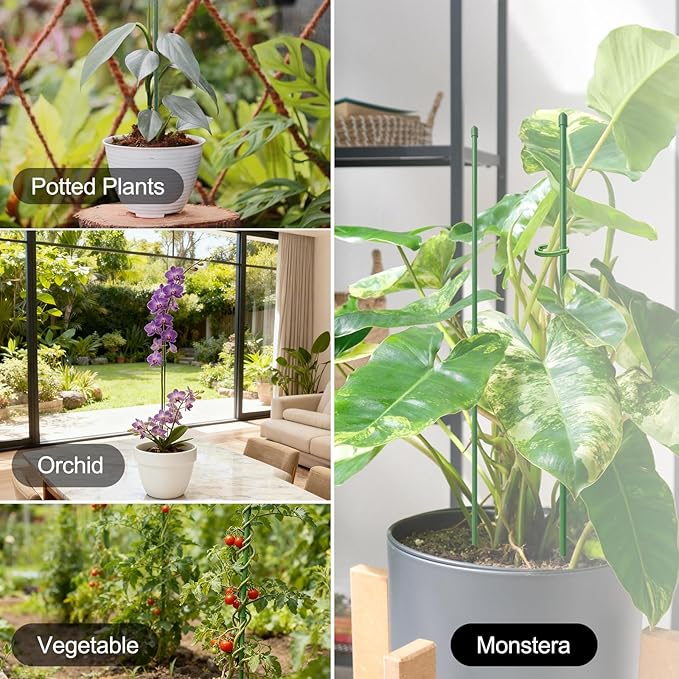 RIFNY Plant Stakes for Indoor Plants, 14 Inch Plant Support Stakes with Clips, Tall Adjustable Plant Sticks for Indoor Monstera Tomato Orchid Potted Plants Flower (6 PCS, Green)