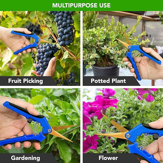 iPower 6.5 Inch Garden Pruning Shears with Titanium Coated Curved Precision Blades, Blue, 1-Pack