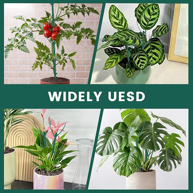 Decorative Stackable Twig, Plant Support Frame & Cage Support Rings, Plant Holder Stick Moss Pole, Twig Trellis with 10 Poles for Indoor Outdoor and Potted Plants Flower Other Climbing Plants ﻿