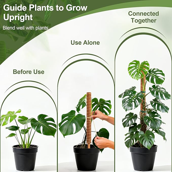 48 Inch Monstera Plant Support, 4 Pack 16 inch Moss Pole for Monstera & Climbing Plants Coco Coir Plant Support, Plant Ties Included