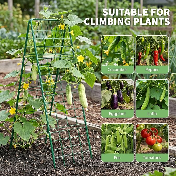 DoCred Cucumber Trellis, 59" H 2 Pack Metal Foldable Thickened A Frame Garden Trellis for Raised Bed Climbing Plants, Vegetables, Including Plant Support Clips, Twist Ties, Plastic Ties, Green