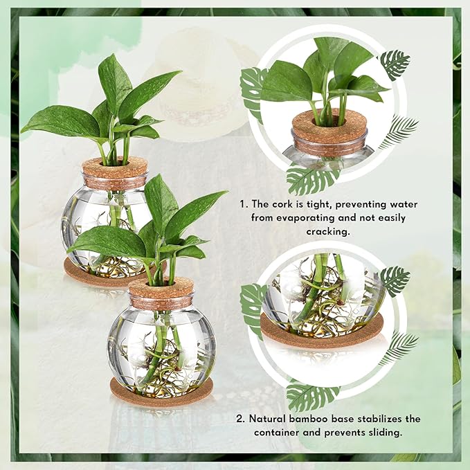 Baderke 9 Packs Propagation Vases for Plants Plastic Plant Propagation Station with Hole Lid and Cork Coasters Plant Growing in Water Hydroponic Home Office Table Decoration(Fish Bowl Style)