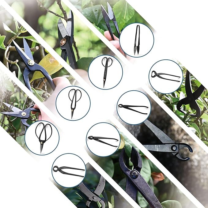 14-Piece Bonsai Tree Kit, Bonsai Tool Set, Carbon Steel Scissors Cutter Shears, Perfect Gardening Trimming Pruning Tools Jin Pliers, Rake with Spatula Starter Kit