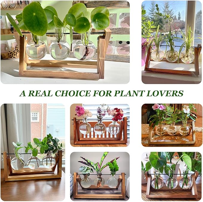 Renmxj Plant Propagation Stations with Wooden Stand & 3 Glass Bulb Vases - Plant Terrarium for Indoor Plants, Home Office Desk Decor, Gardening Gifts for Women Mom, Birthday Gifts for Plants Lovers