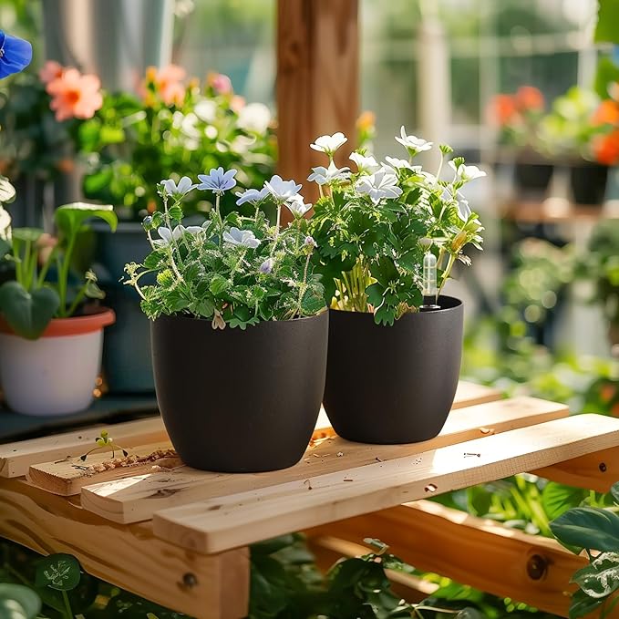 T4U 6 Inch Plastic Self Watering Planter with Water Level Indicator Black Set of 4, Modern Decorative Planter Pot for All House Plants, Flowers, Herbs, African Violets, Succulents