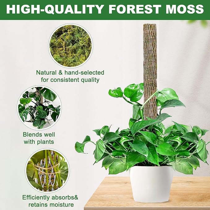 Moss Pole for Plants 2 Pcs 13+16 Inch Modern Mesh Design Green Moss and Plastic Plant Support Extension