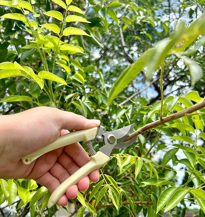 Ergonomic Garden Pruning Scissors - Stainless-Steel Bypass Blade Shears for Cutting Flowers, Trimming Plants, Bonsai, and Fruit Picking 1-Inch Precision with Quick Lock and Rust-Resistant Design 2pack