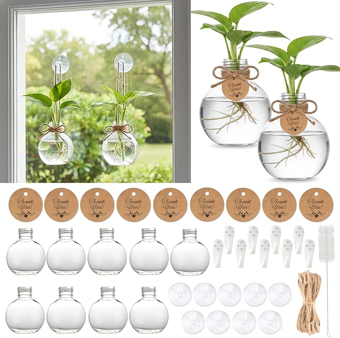 Plastic Window Propagation Stations - 9 Pack Hanging Plant Propagation Vases Clear Jars with Hook Thank You Tag Cleaning Brush for Women Plant Lover Garden Home Office Decor Housewarming Gifts