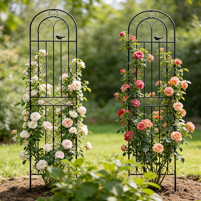 2 Pack 70.8" H x 19.7" W Metal Garden Trellis with Black Coating, Wire Lattice Grid Panel for Climbing Plants Outdoor Roses Vine Cucumbers Vegetables Flower Support (70.8" H, 2 Pack)