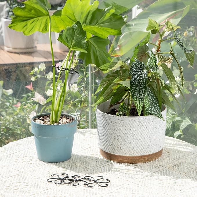 Yohsnor Monstera Plant Stem Support Set - 2.75x2.75 inches 5 Durable Fishbone Design Stabilizers for Indoor Climbing Plants - Perfect Leaf Holders & Gifts for Plant Lovers