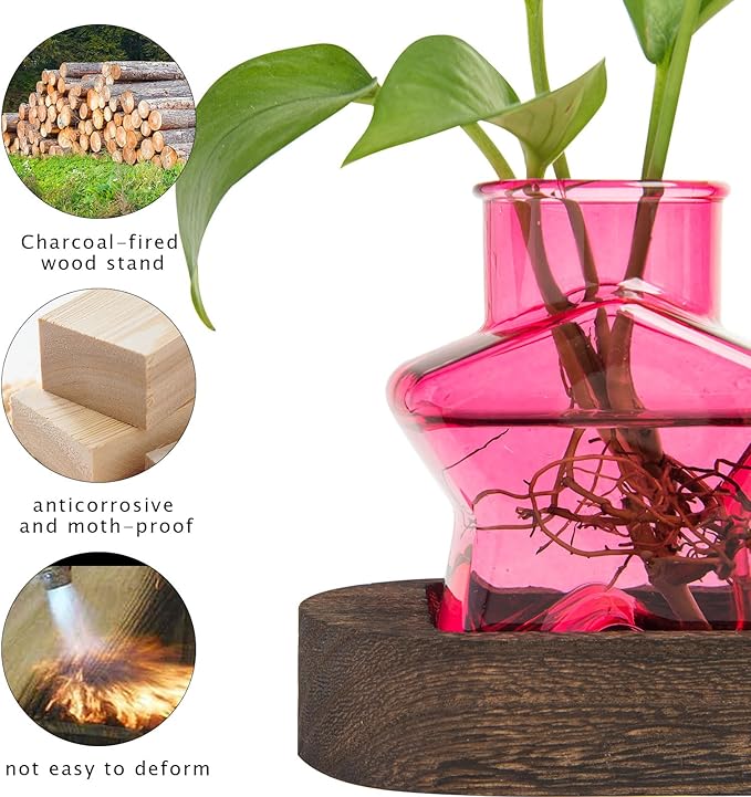 XXXFLOWER Plant Propagation Station with Wooden Stand，Air Plant Terrarium Starter Kits Star Vases for Flowers Plant Cutting Rooting Pots Indoor Hydroponic Glass Planter for Plant Lovers,3 Jars(Pink)