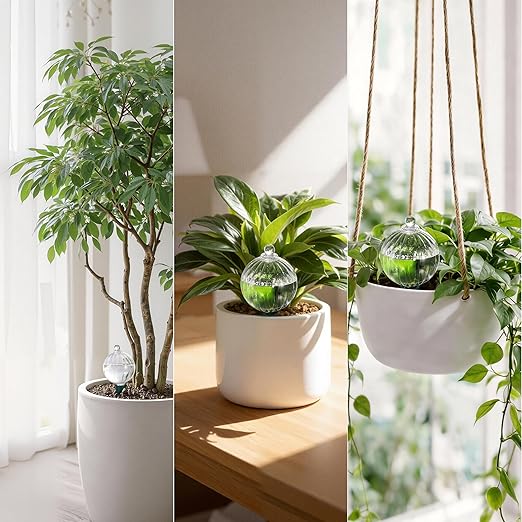 Soilagua 23 oz Extra Large Plant Watering Globes, Top Fill Clear Glass Watering Bulbs with Terracotta Adapter, Slow Release Self Watering for Daily & Vacation Use, Waterer, Planter Insert, 1 Pack