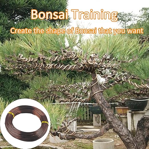 Bonsai Training Wire Kit 3 Sizes, 1.0mm/1.5mm/2.0mm Anodized Aluminum Bonsai Wire, Antique Bronze Aluminum Wire Set for Bonsai Trees Shaping and Training(100g Each Size)