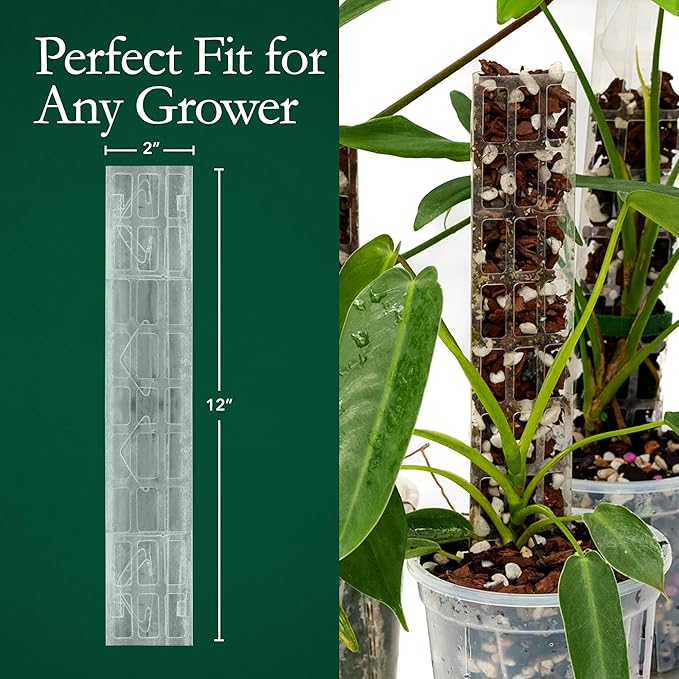 THICCLY V2 GrowPole Small 10 Pcs - Front Opening Clear Moss Poles for Climbing Plants, D-Shaped Moss Pole for Monstera Plant Support Plant Climbing Pole, Plastic Plant Pole Support for Philodendron