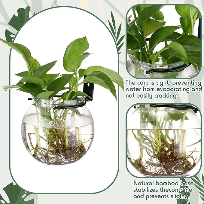 Baderke 6 Sets of Plastic Wall Planters for Indoor Plants Plant Propagation Station Hanging Planter Propagation Vases with Flower Pot Holder Ring for Artificial Wall Plants Indoor Outdoor Decor