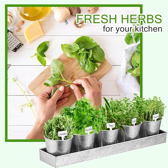 FoldTier 2 Sets Herb Garden Planter Indoor Kit with Trey 10 Pcs Metal Windowsill Plant Pots with Drainage Holes Indoor Herb Planter with Marker and Labels for Home Outdoor Plants(Silver)