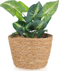 Beavorty Woven Flower Basket Plant Pot with Plastic Liner Indoor Outdoor Decorative Rattan Planter for Small Plants Succulents and Home Garden