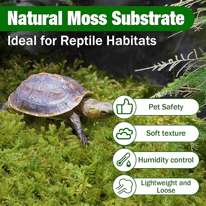 ZeeDix 8 oz Forest Moss for Plants Indoor - Dried Orchid Moss for Repotting, Natural Green Sphagnum Moss for Potted Plants Carnivorous Monstera Succulents Crafts Reptile Habitat (Expands to 12 qt)