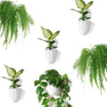Make Good Virgo Wall Planters (Geometric, Set of 6) - Easy to Water and Install - Lightweight - Design Your Own Vertical Garden - Melamine Plastic
