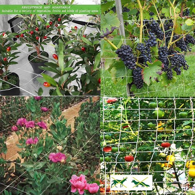 BaseGoal All-Weather Trellis Netting Mesh Plant Garden Vine Growing Flexible String Net (6" Mesh ployester, 5' Wx 60'L)