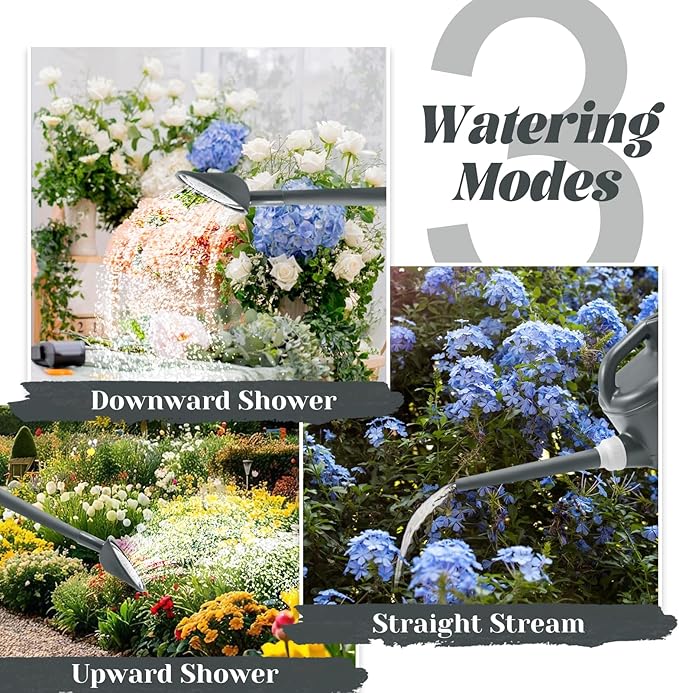 1 Gallon Watering Can, Garden Watering Can Outdoor, Plant Water Can with Removable Long Spout and Stainless Steel Sprinkler Head, Plastic Indoor Watering Cans for Gardening Flower Plants
