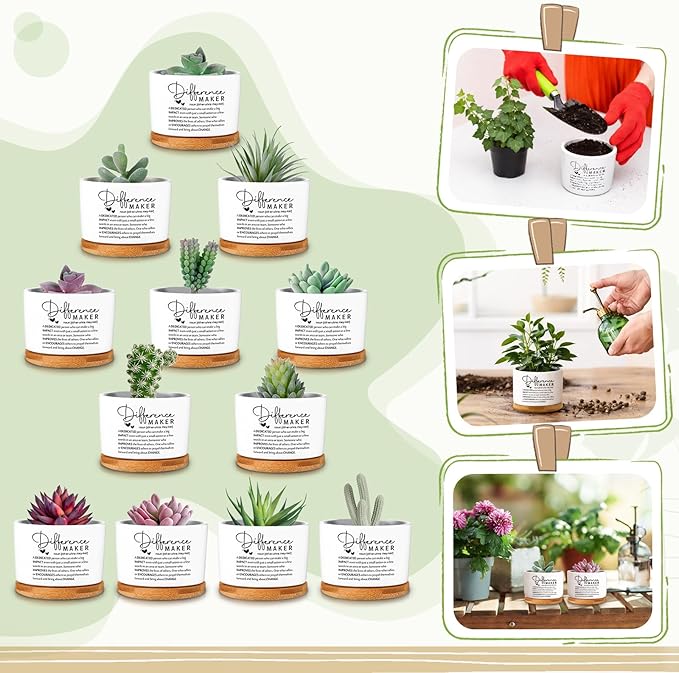 12 Pcs Difference Maker Employee Appreciation Gifts Succulent Pots Bulk Inspirational for Coworker Team Small Ceramic Plant Pots with Bamboo Trays for Office Staff Women Men
