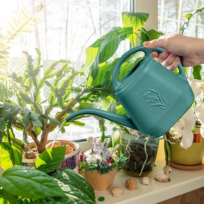 Watering Can - for Home Plant Garden - 1/2 Gallon - Emerald Green