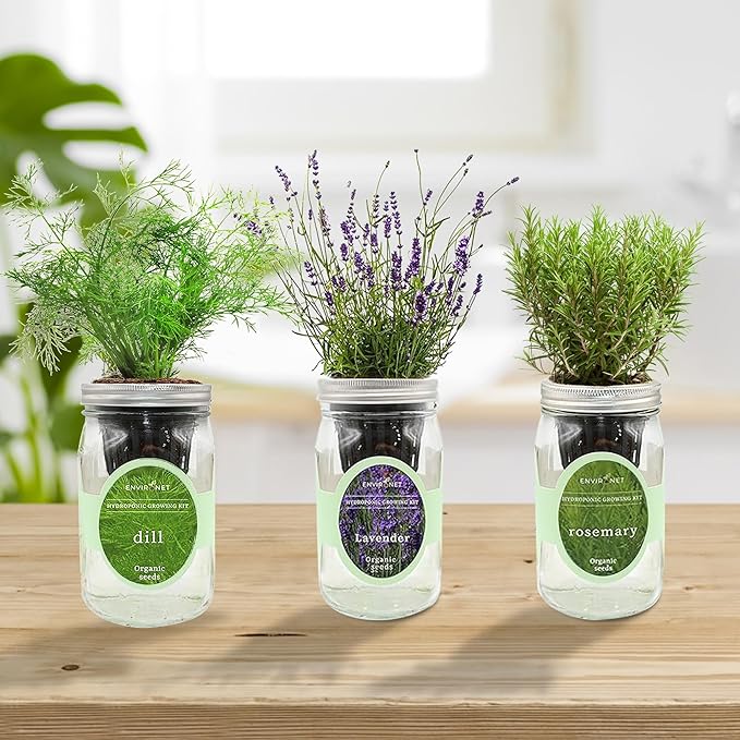 Hydroponic Herb Growing Kit Set, Self-Watering Mason Jar Herb Garden Starter Kit Indoor, New Christmas Gift for Mom (Dill, Lavender & Rosemary)