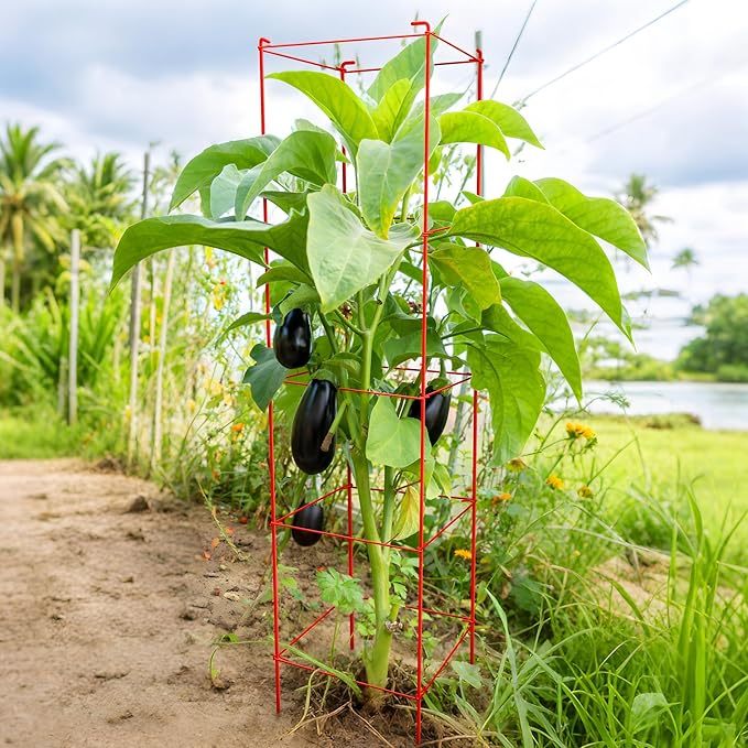 Thealyn Tomato Cages 6 Packs 57 Inches (H) Plant Stand with 164 Feet Twist Ties, Heavy Duty Garden Plants Support for Tomatoes, Cucumber, and Other Climbing Plants (Red)