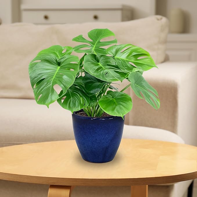 Sunnydaze Resort Round Ceramic Planter - Set of 2 Indoor or Outdoor Plant Pots with Drainage Hole - 8" - Imperial Blue Glaze