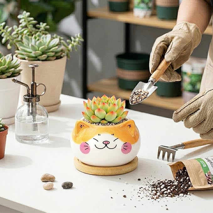 Cute Cat Animal Ceramics Planter Succulent Pot with Drainage, Plant Pot for Indoor Mini Plants Flower Cactus, Home and Garden Decor Fun Gifts