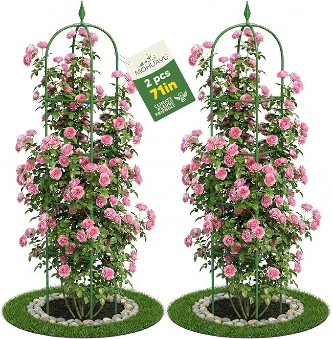 2 Pack Garden Obelisk Trellis for Climbing Plants, 6 FT Metal Rustproof Plant Support Rose Trellis, Tower Potted Cages for Flowers Fruits Vegetable Vines Indoor & Outdoor, Green(4 Tiers)