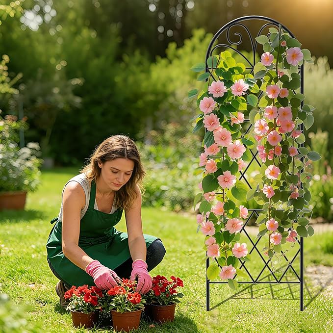 Garden Trellis for Climbing Plants, 3 Pack 38" Wx 64.6" H Rustproof Flower Trellis with Black Coating, Outdoor Climbing Rose Trellis Cucumbers Support for Courtyards Lawns (Diamond-Shaped Grid)