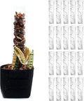 THICCLY V3 GrowPole Small 20 Pcs - Front Opening Plastic Moss Poles for Climbing Plants, D-Shaped Moss Pole for Monstera Plant Support Plant Climbing Pole, Plastic Plant Pole Support for Philodendron