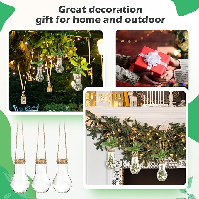 Baderke 6 Pack Hanging Propagation Station 3.9 Inch Plastic Plant Vases with Hooks & Cleaning Brush Clear Window Jars for Plant Clippings, Home Office Decor, Gardening Gifts for Women