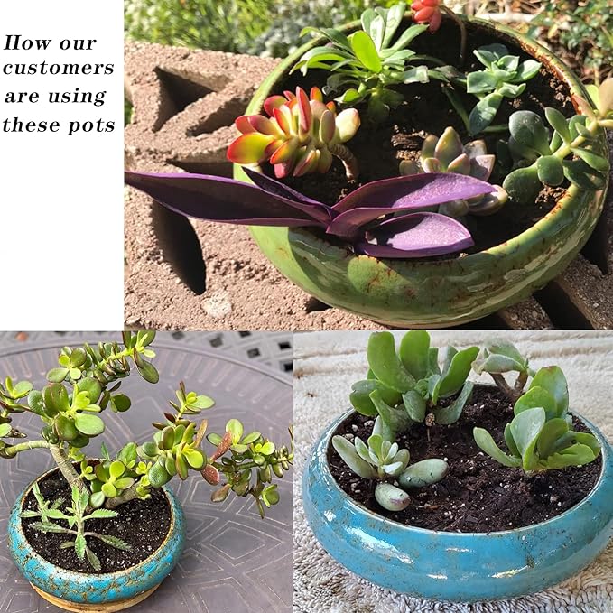 Succulent Planters, Large Succulent Pots with Drainage Bamboo Trays Colorful Bonsai Pots with Stand Ceramic Flower Pot Set of 2, Round Cactus Pot for Indoor Plants (7.3 and 10'')