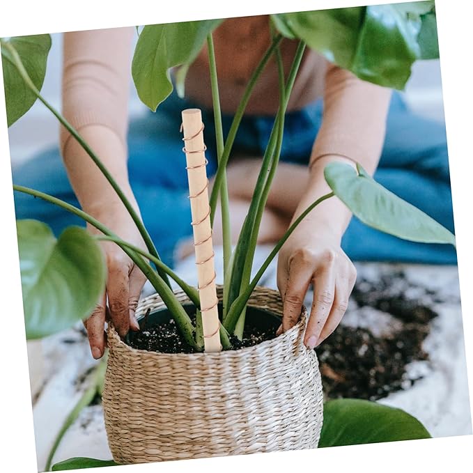 BESPORTBLE 2pcs Copper Wire Antenna Electroculture Gardening for Indoor and Outdoor Plants Lightweight Copper Coil for Signal Reception Suitable for Vegetables and Flowers