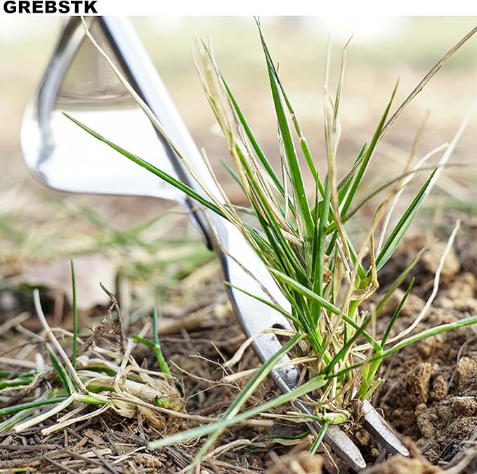 GREBSTK Hand Fork Stainless Steel Beech Handle Garden Tool Hand Weeder Fork for Aerating, Planting, Spreading Mulch, Weeding, Loosening, Transplanting Soil