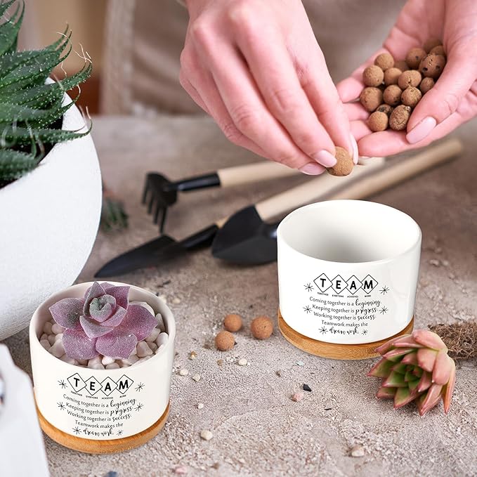 12 Pcs Employee Appreciation Inspirational Succulent Pots Gifts Bulk for Women Coworker Teacher Small Ceramic Plant Pots with Bamboo Trays for Office Staff Group Graduation(Team)