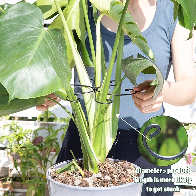 Yohsnor Monstera Plant Stem Support Set - 7.5x7.5 Inch Durable Stabilizers for Indoor Climbing Plants and Leaf Holders - Promote Healthy Growth and Stability (5 Pieces)