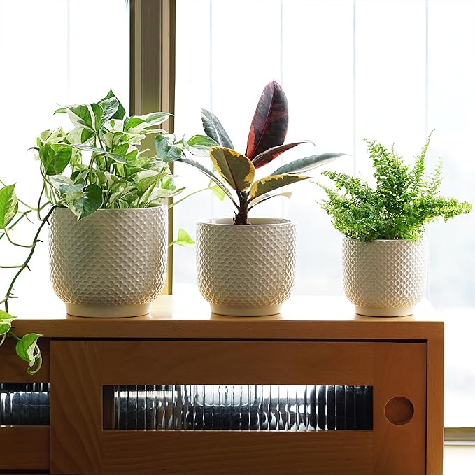 4 + 5 + 6 Inch Ceramic Pots for Indoor Plants, Succulents Plant Pots, Orchid Flower Pot with Drainage Hole, Modern Clay Stoneware Planters, Set of 3 (White, 4+5+6 Inch)