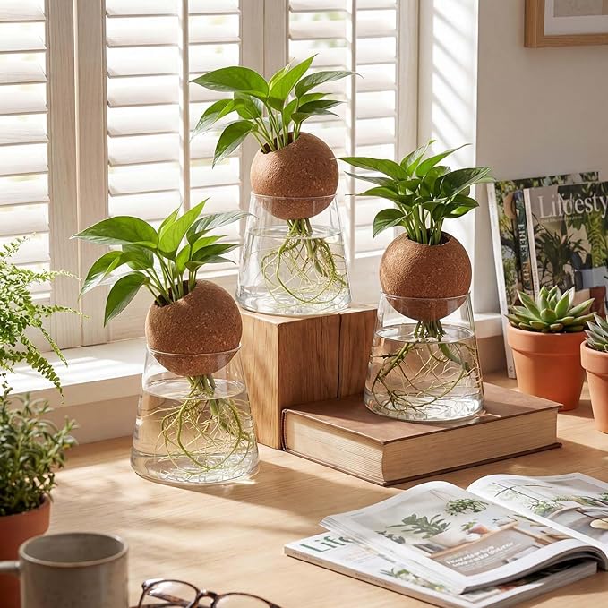 Baderke 3 Pcs Glass Plant Propagation Stations with Spherical Lid Glass Jars Plant Propagation Vases Hydroponic Spherical Cork Planter for Indoor Home Office Desktop Decor(Conical,3.15 Inches)
